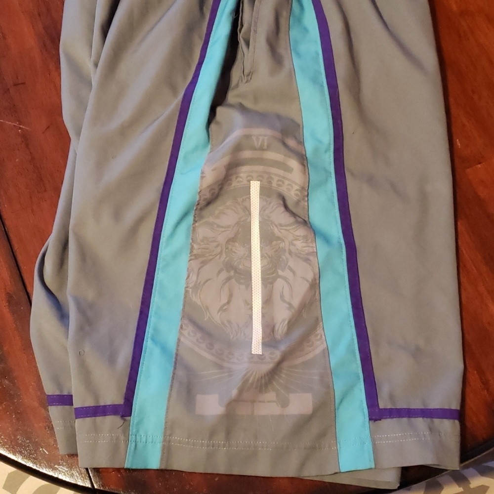 Nike LeBron "NYC Edition" Basketball Shorts - Picture 1 of 4